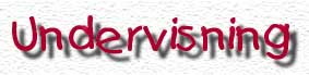 Undervisning
